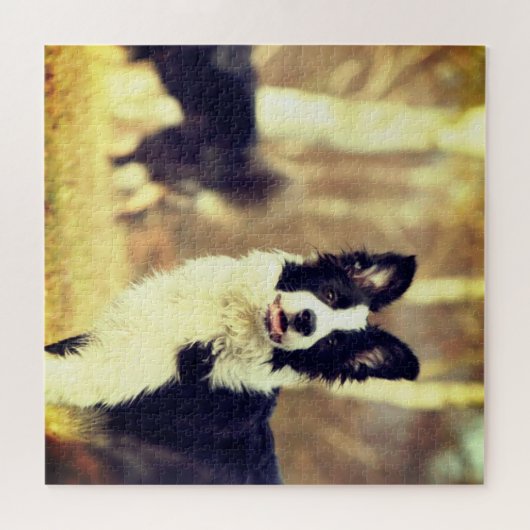 Puzzle Bordure Collie (Horizontal)