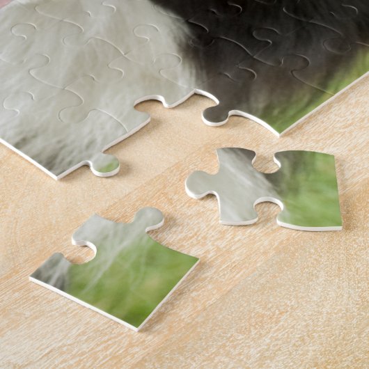 Puzzle Bordure Collie (Côté)