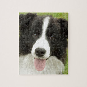 Puzzle Bordure Collie