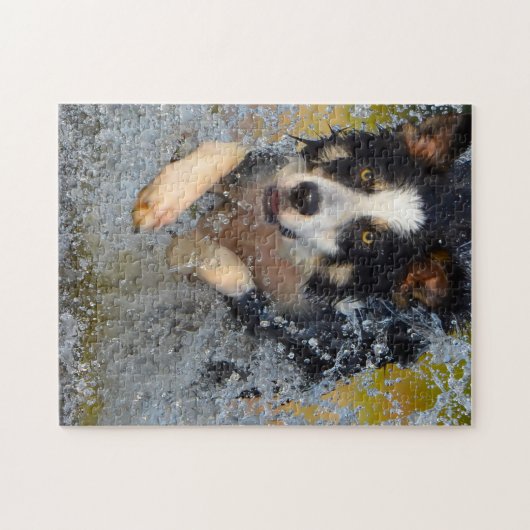 Puzzle Bordure Collie Chiens. (Horizontal)