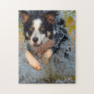 Puzzle Bordure Collie Chiens.