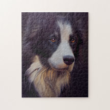 Bordure Collie Mouton Chien Portrait Peinture