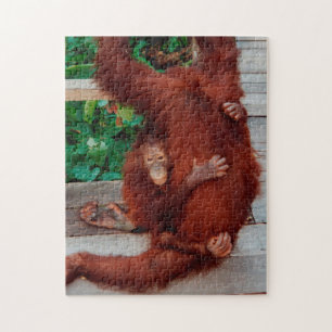 Puzzle Bornéo orangoutan 252-pc