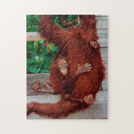 Puzzle Bornéo orangoutan 252-pc (Vertical)