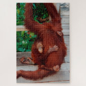 Puzzle Borneo orangutan 1014-pc (Vertical)