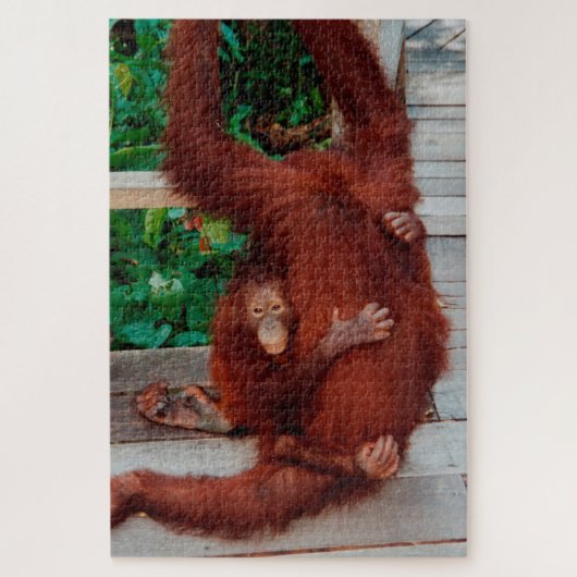 Puzzle Borneo orangutan 1014-pc (Vertical)