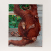 Puzzle Borneo orangutan 520-pc (Vertical)