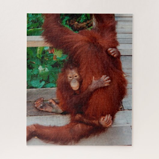 Puzzle Borneo orangutan 520-pc (Vertical)