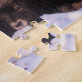 Puzzle bosse, Ovibos moschatus, vache avec nouveau-né, (Côté)