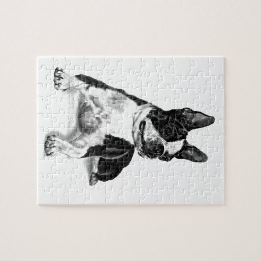 Puzzle Boston Terrier (Horizontal)