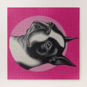 Puzzle Boston terrier  (Horizontal)