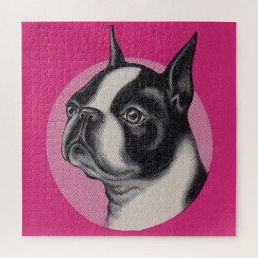 Puzzle Boston terrier  (Vertical)