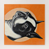 Puzzle  Boston terrier (Horizontal)