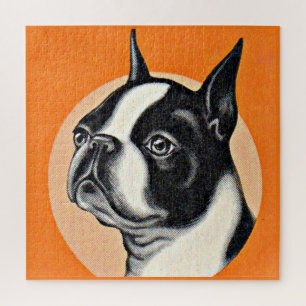 Puzzle Boston terrier