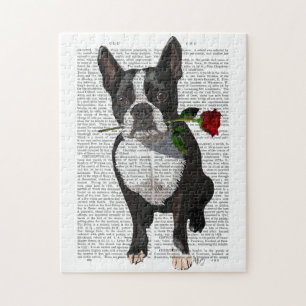 Puzzle Boston Terrier avec Rose à la bouche