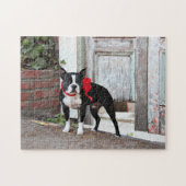 Puzzle Boston Terrier - milles (Horizontal)