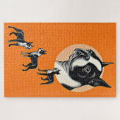 Puzzle Boston terriers (Horizontal)