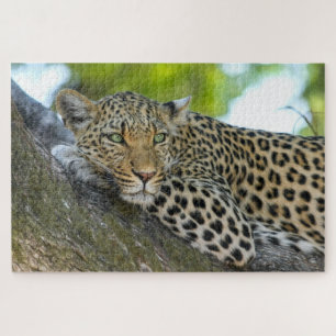 Puzzle Botswana African Leopard