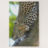 Puzzle Botswana African Leopard (Vertical)