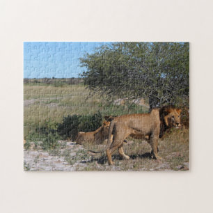 Puzzle Botswana Centre Kalahari Lions Savannah Voyage