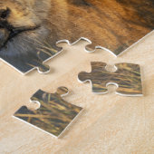 Puzzle Botswana, parc national de Chobe, Lionnes (Côté)