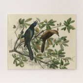 Puzzle Bouche à queue de bateau - Audubon's Birds of Amer (Horizontal)