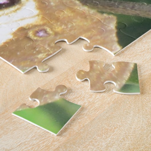 Puzzle - Bouclier papillon (Côté)