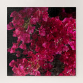 Puzzle Bougainvillea Arbuste de vinification Tropical Rou (Horizontal)