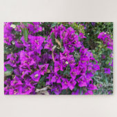 Puzzle Bougainvillée pourpre, Oakland (Horizontal)