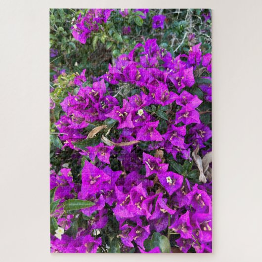 Puzzle Bougainvillée pourpre, Oakland (Vertical)