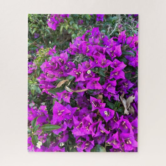 Puzzle Bougainvillée pourpre, Oakland (Vertical)