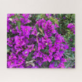 Puzzle Bougainvillée pourpre, Oakland (Horizontal)