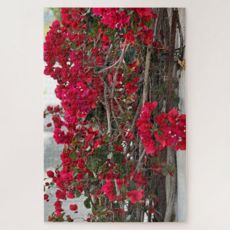 Puzzle Bougainvillée rouge, Burlingame
