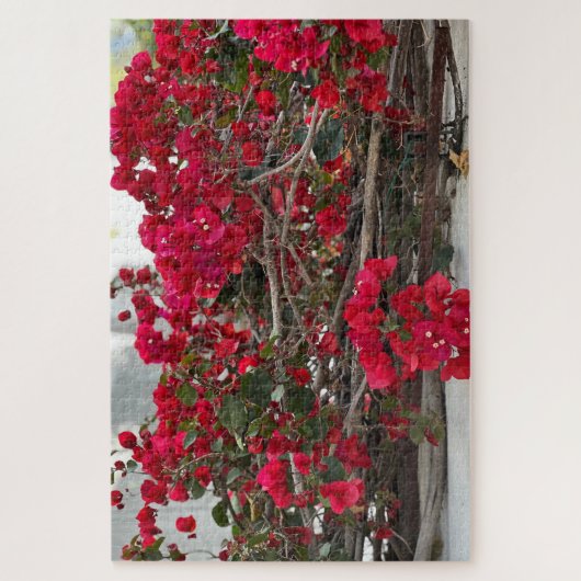 Puzzle Bougainvillée rouge, Burlingame (Vertical)