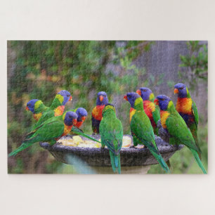 Puzzle Boule colorée d'arc-en-ciel Loirkeet Birds
