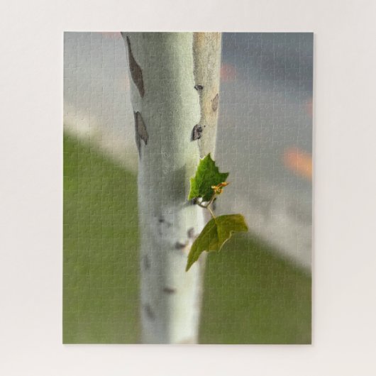 Puzzle Bouleau au bord de la route (Vertical)