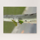 Puzzle Bouleau au bord de la route (Horizontal)