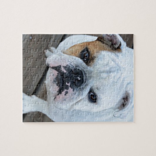 Puzzle Bouledogue anglais (Horizontal)