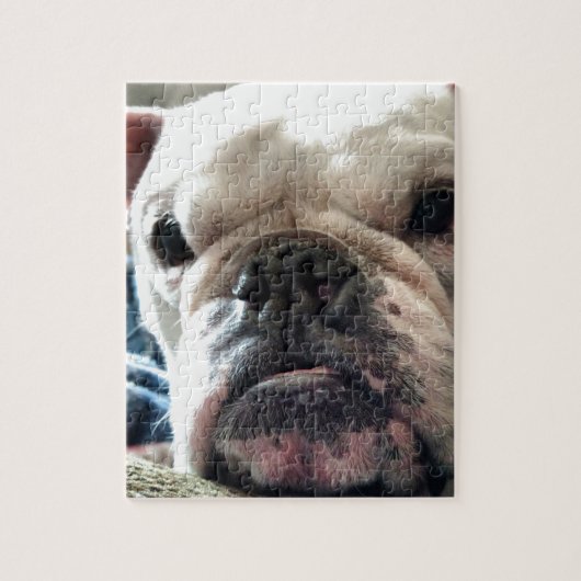 Puzzle Bouledogue anglais (Vertical)