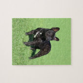 Puzzle Bouledogue français 2 (Horizontal)