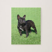 Puzzle Bouledogue français 2 (Vertical)