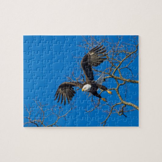 Puzzle Boulon d'aigle (Horizontal)