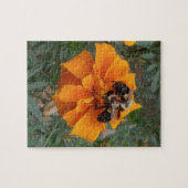 Puzzle Bourdons sur une fleur de Tagète (Horizontal)