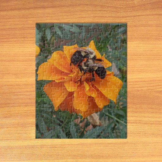 Puzzle Bourdons sur une fleur de Tagète