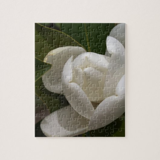 Puzzle bourgeon floral blanc de magnolia du sud (Vertical)