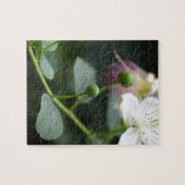 Puzzle Bourgeons du buisson de câpre, Capparis spinos. (Horizontal)