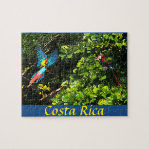Puzzle Box Scarlet Macaws Legpuzzel
