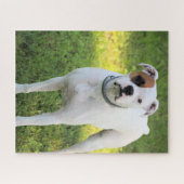 Puzzle Boxer (Horizontal)