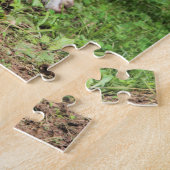 Puzzle Boxer (Côté)