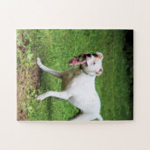 Puzzle Boxer (Horizontal)